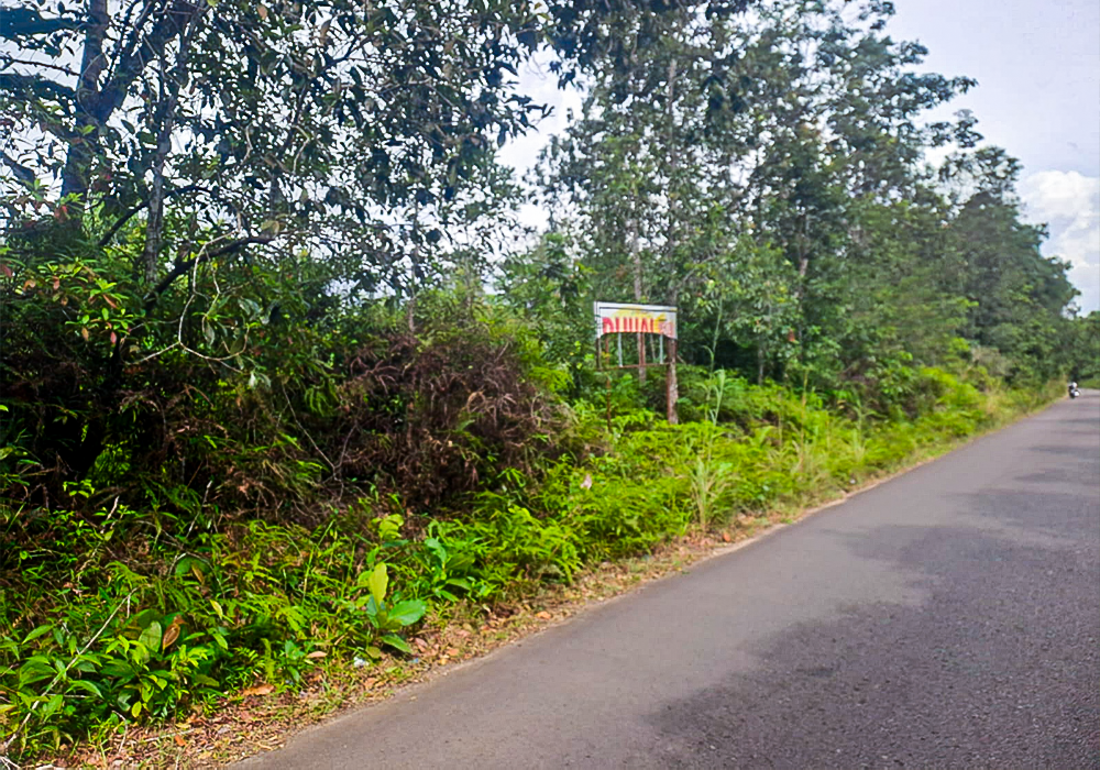 TANAH DI KAB. BANGKA BARAT - NPL100-4 - foto 4